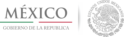 Cliente de IVTI Soluciones